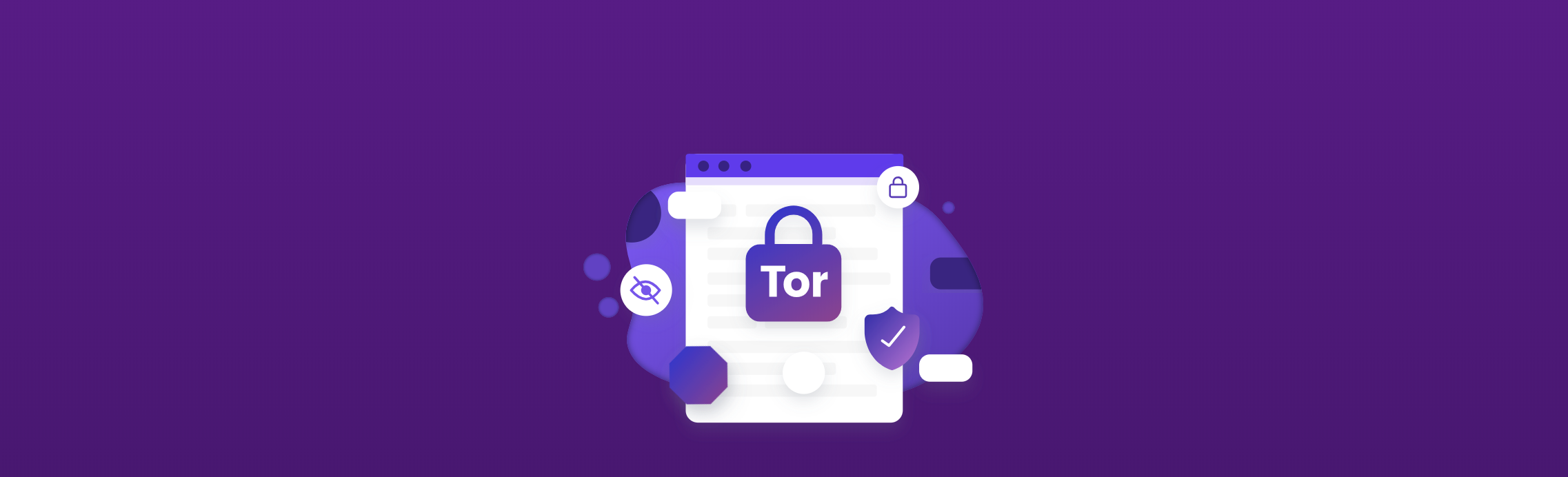 does tor browser hide my ip address